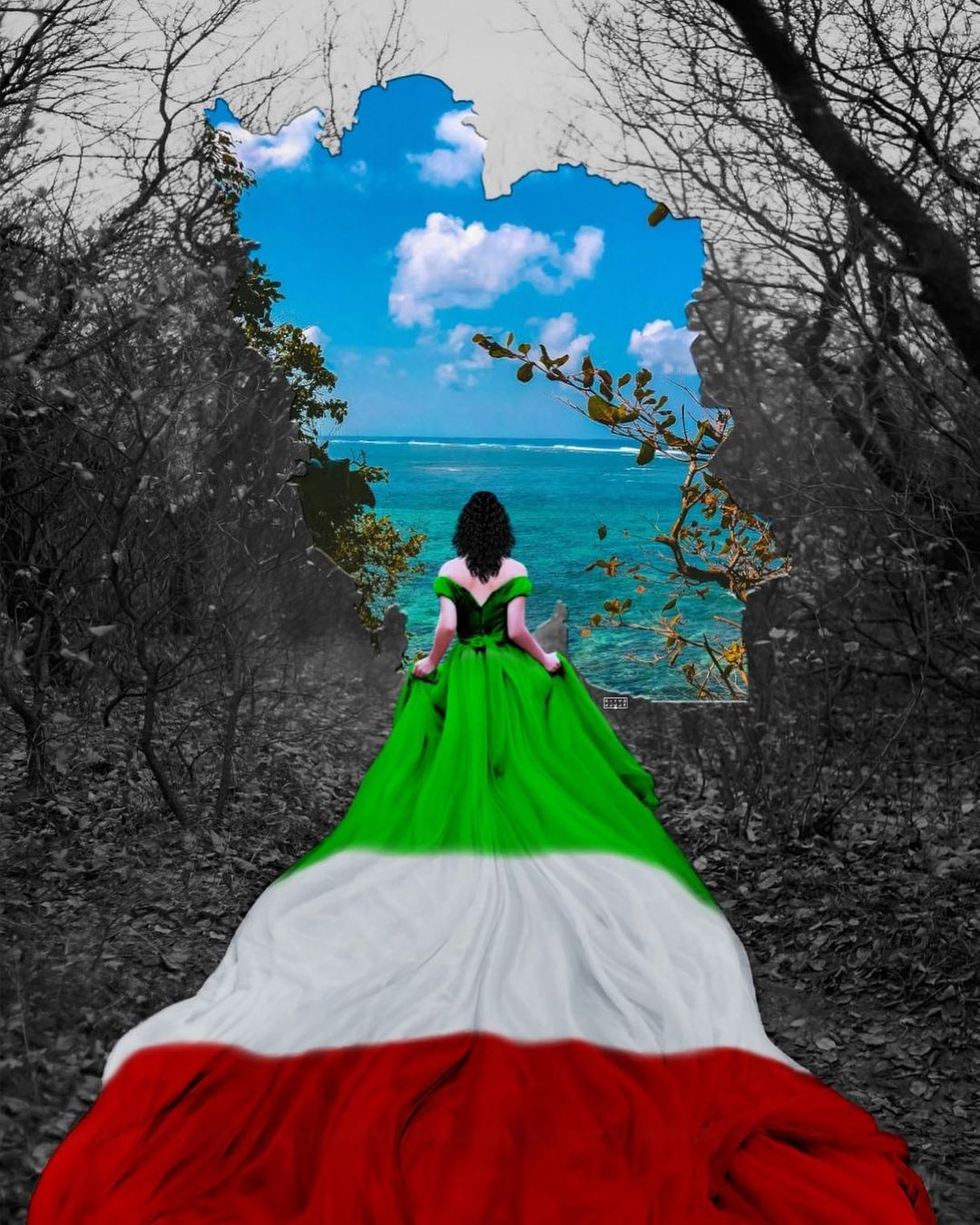 Iran Revolution Art No. 319541380_138741688992718_1278532297616301736_n