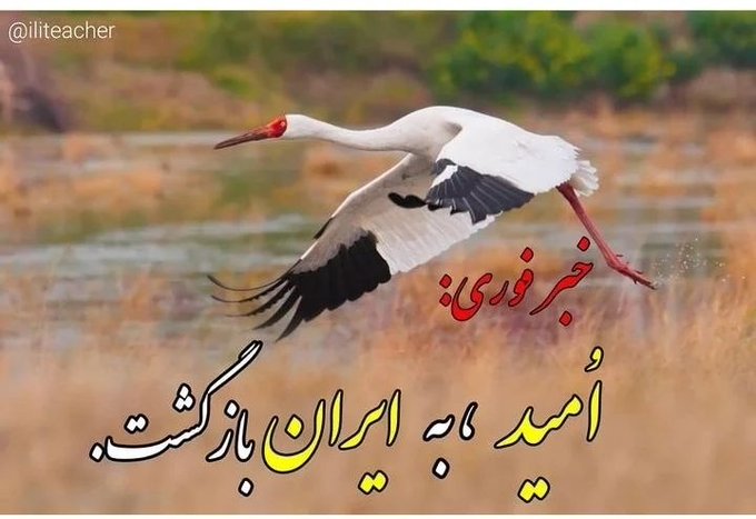 Iran Revolution Art No. FgGNlJfaEAEK39y