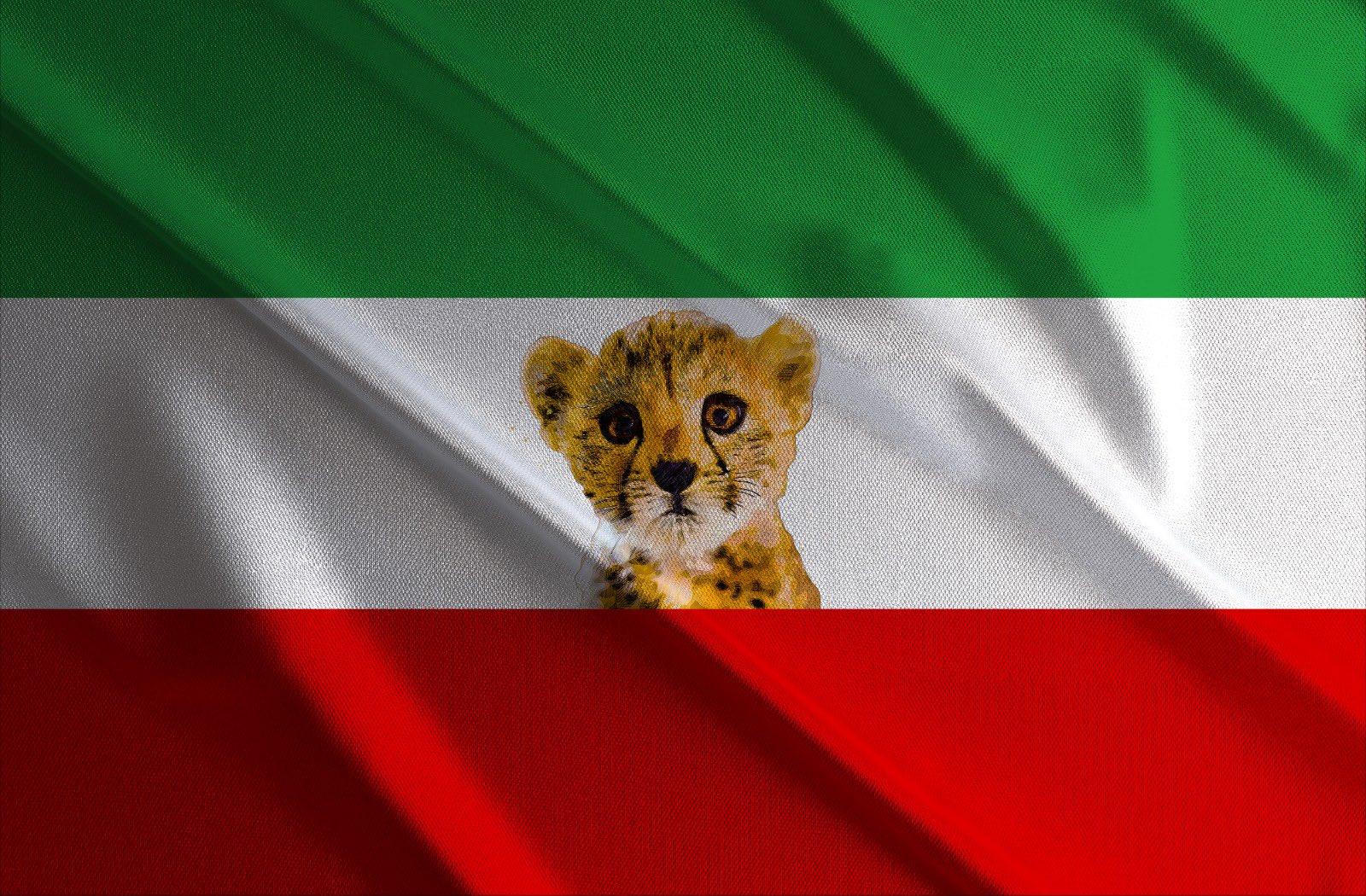 Iran Revolution Art No. FqEueYmWwBEaFVN
